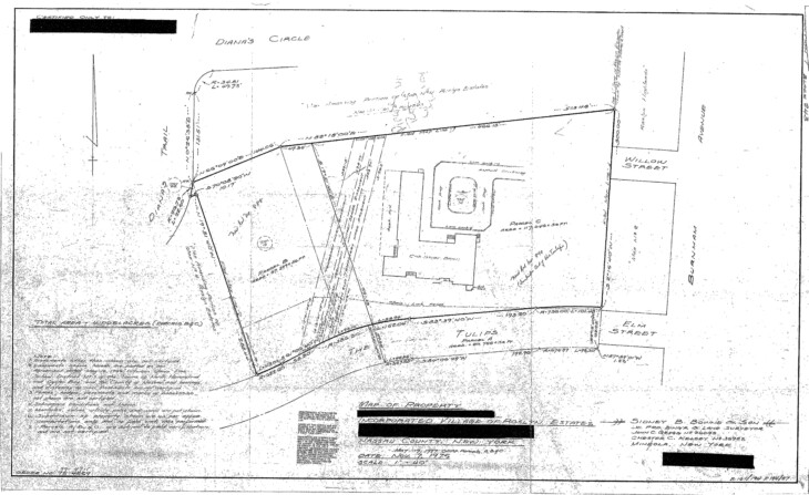 25 The Tulips Page 01