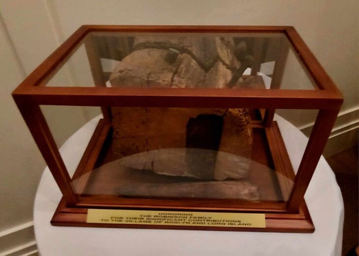 395217599 1001319174503212 1139775726066759219 n