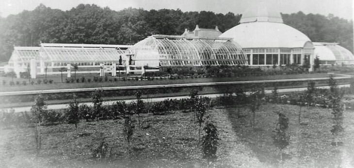 Greenhouse 1