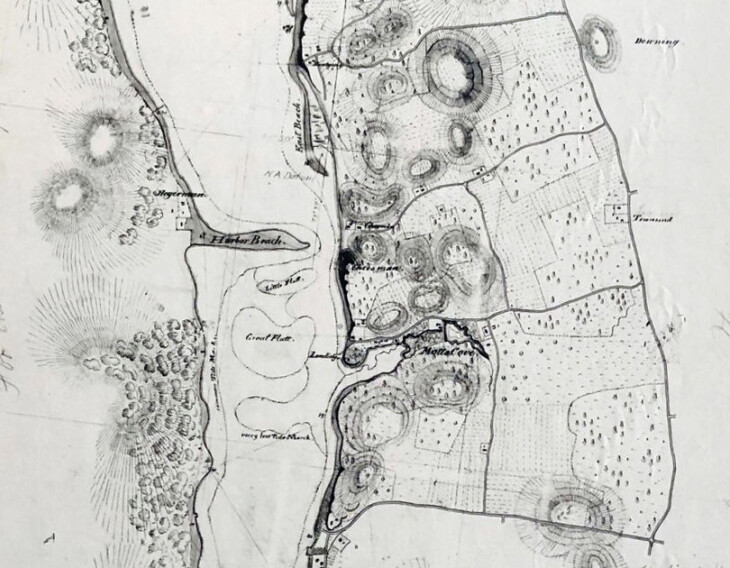 IMG 8937 1 copy copy