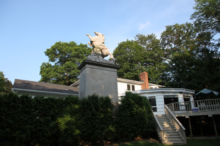 Mackay Horse 008 Copy 3