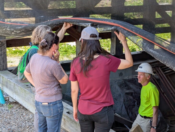 PXL 20250604 174624585