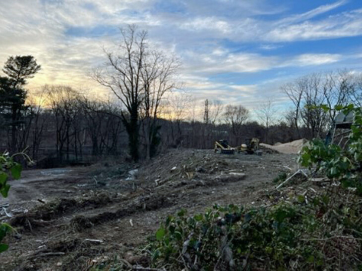 Picture8qqqq edited 1