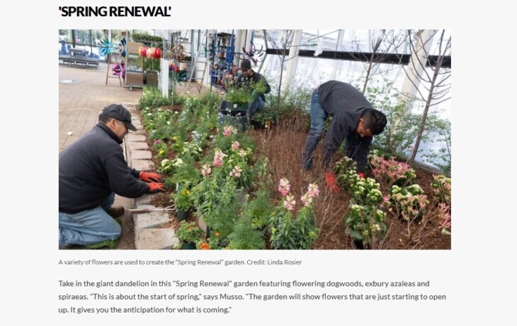 Screenshot 2025 03 06 171423