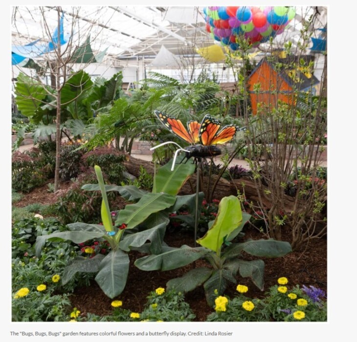 Screenshot 2025 03 06 171942