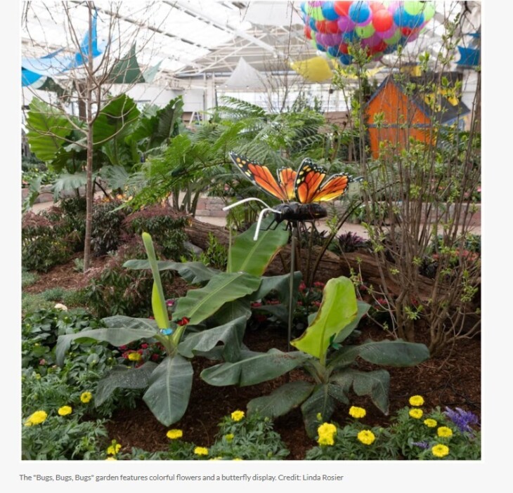 Screenshot 2025 03 06 172100