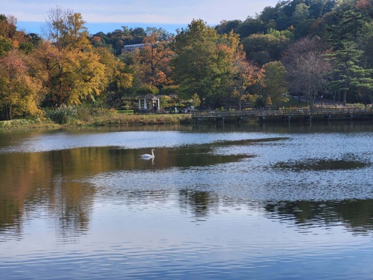 Beautiful day in roslyn