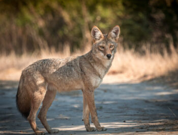 2024 01 14 12 48 10 edited 1