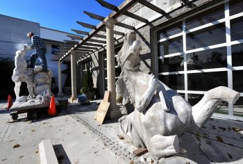 NY Times Picture1 11 25 11