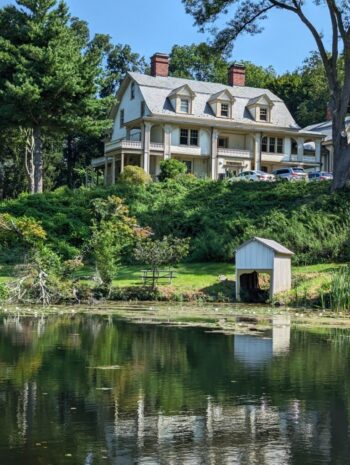 PXL 20230809 144505764 768x1020