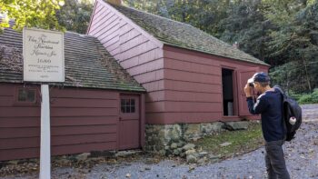 PXL 20231011 134341437