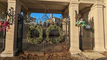 PXL 20231219 201231065