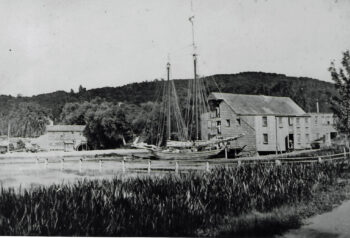 Scan 1641 edited 1 copy copy