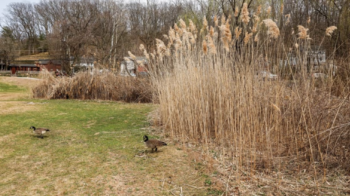 Screenshot 2026 04 07 at 4 57 43 PM