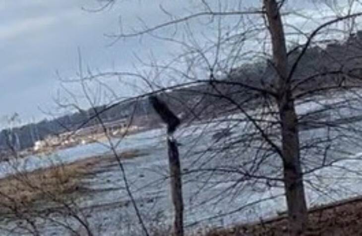 2024 02 21 17 44 09 edited 1