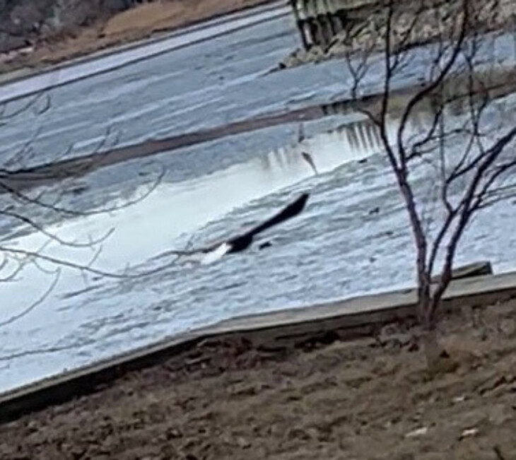 2024 02 21 17 45 14 edited 1