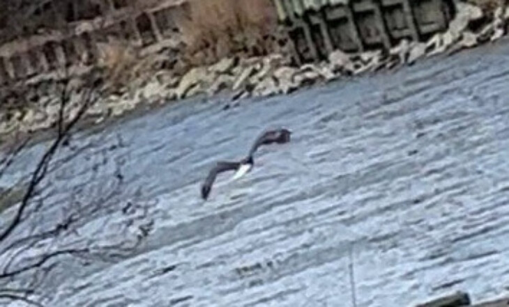 2024 02 21 17 47 18 edited 1