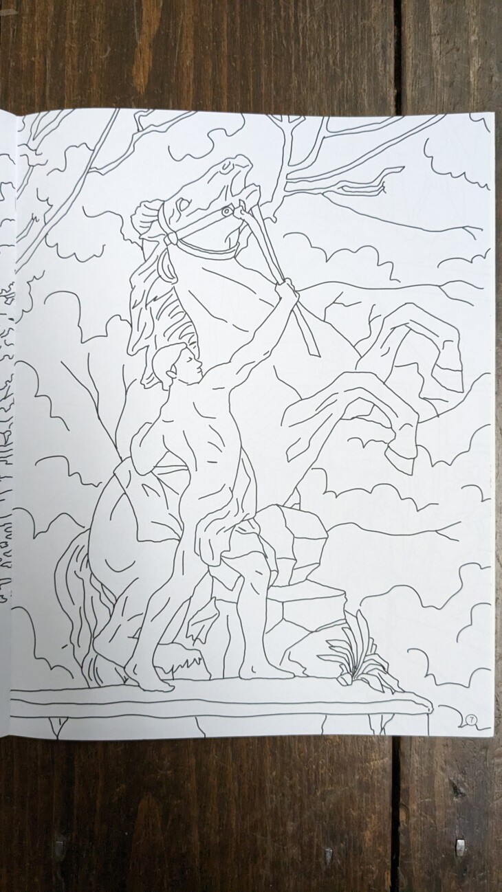 PXL 20231221 221118334