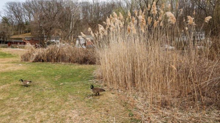 Screenshot 2026 04 07 at 4 57 43 PM